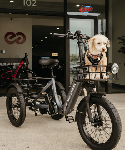 Mokwheel Granite - electric tricycle bike
