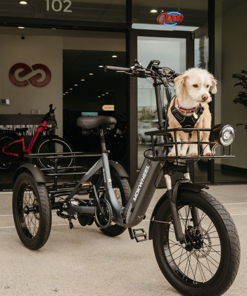 Mokwheel Granite - electric tricycle bike
