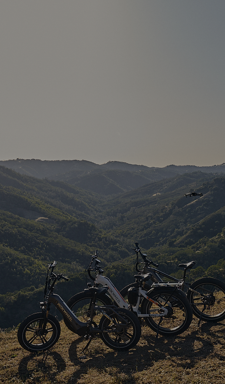 Ebike dealers near me deals