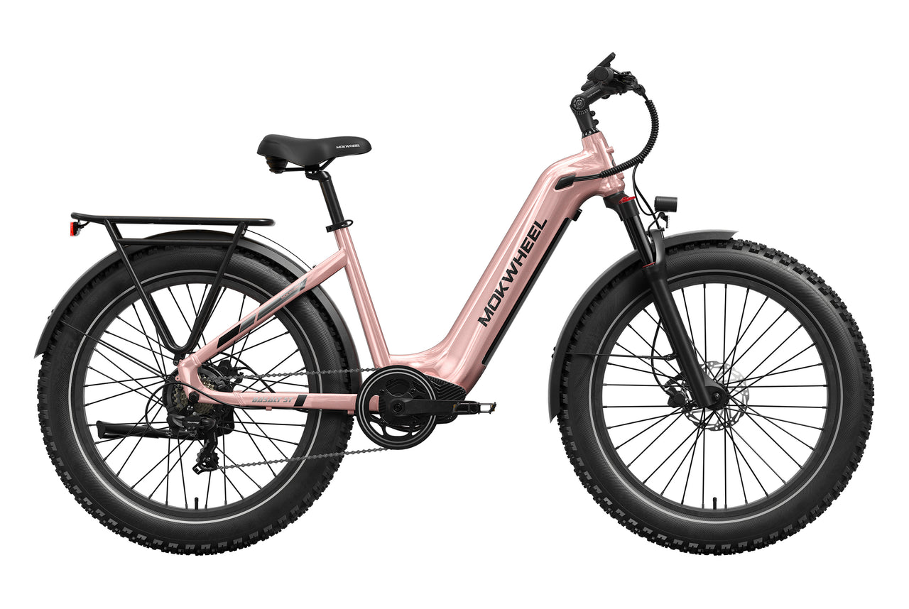 Basalt ST Ebike
