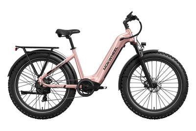Basalt ST Ebike