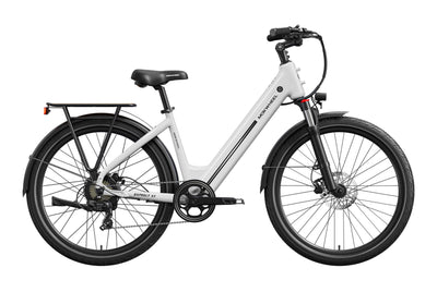 Asphalt ST Ebike