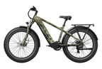 Basalt Ebike
