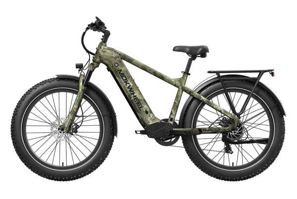 Basalt Ebike