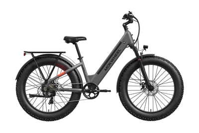 Mesa Plus ST Ebike