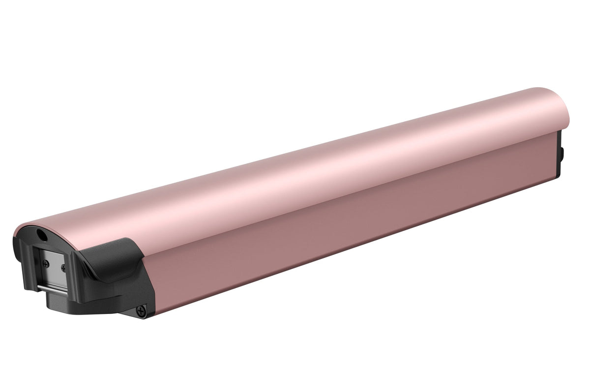 Battery(FLINT)