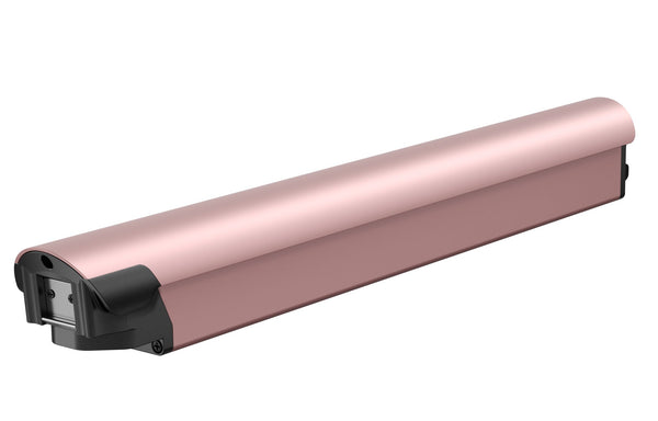 Battery(FLINT)