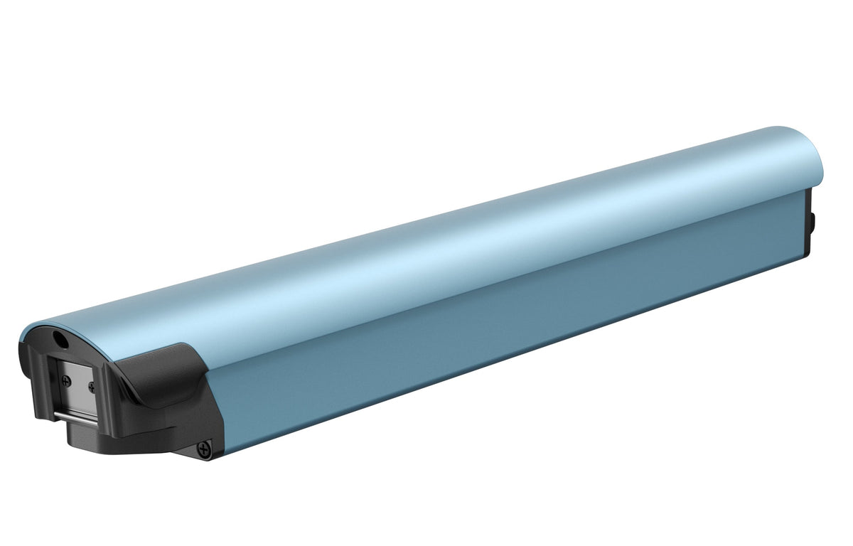 Battery(FLINT)