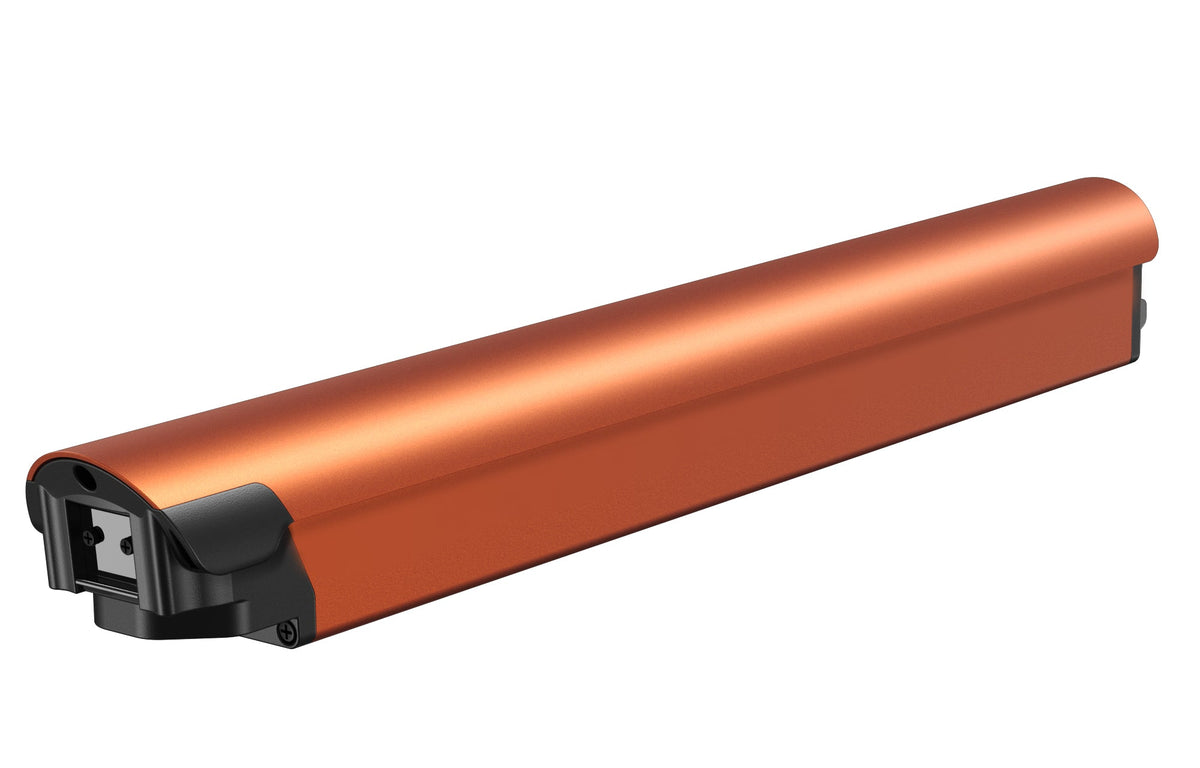 Battery(FLINT)