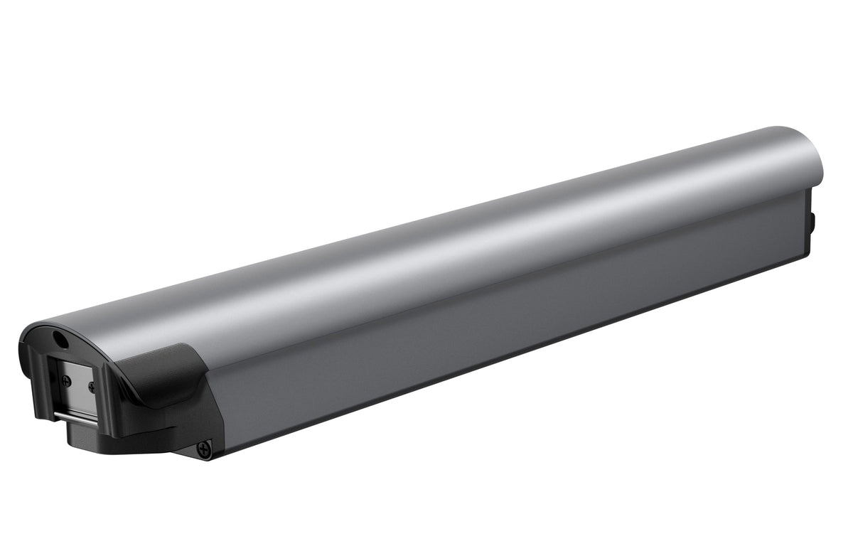 Battery(FLINT)