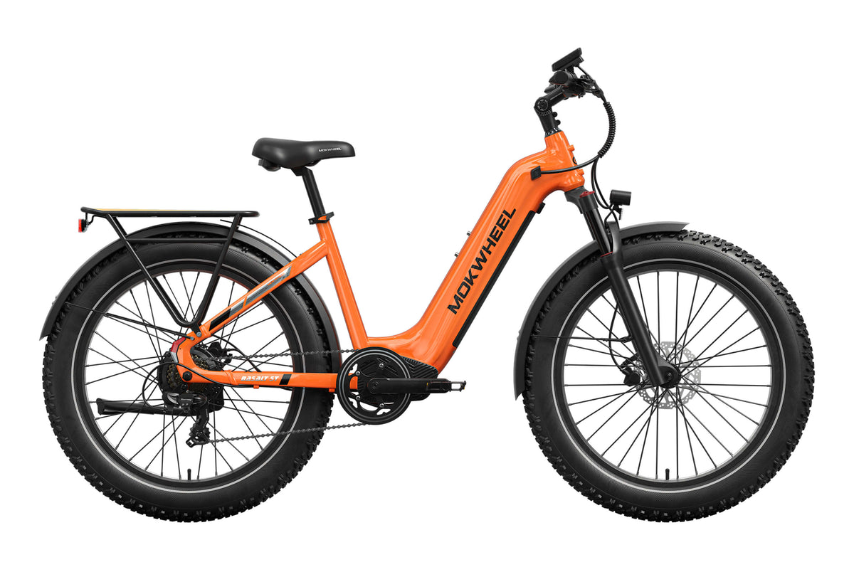 Pedal Assist Electric Bikes | Free Shipping