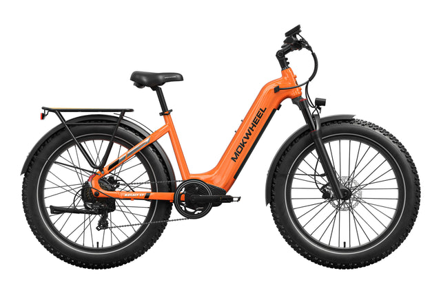 Basalt ST 2.0 Ebike