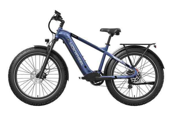 Basalt 2.0 EbikeDarkBlue