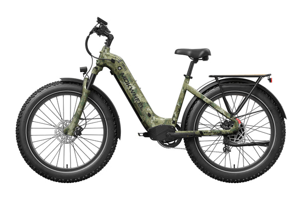 Basalt ST 2.0 Ebike