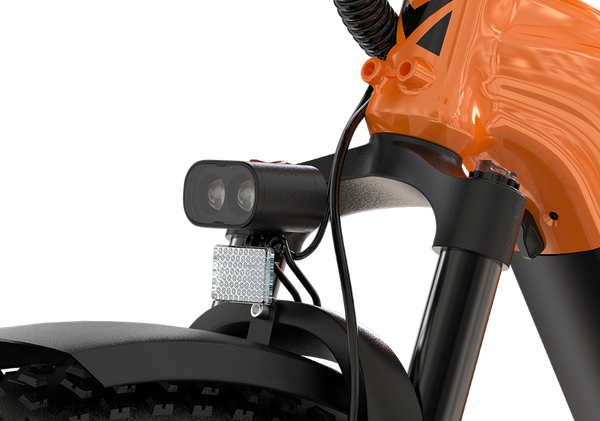 Dual-Bulb Brilliance