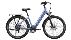 Asphalt ST Ebike