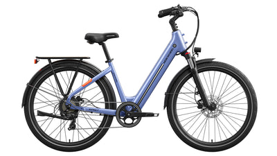 Asphalt ST Ebike