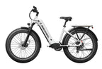 Basalt ST 2.0 Ebike