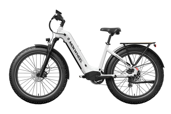 Basalt ST 2.0 Ebike