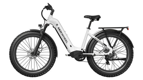 Basalt ST EbikeWhite
