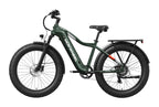 Tor Plus Ebike