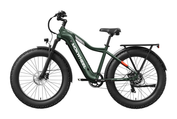 Tor Plus Ebike