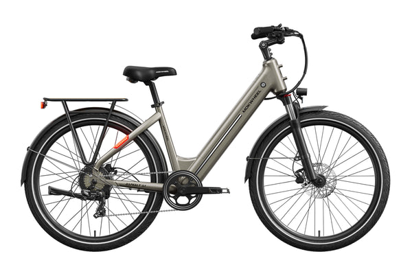 Asphalt ST EbikeStandard / Mocha
