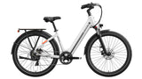 Asphalt ST Ebike