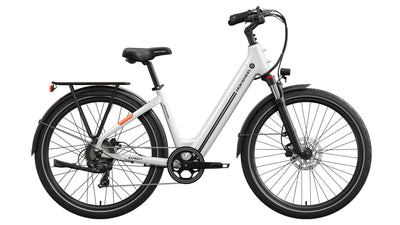 Asphalt ST Ebike