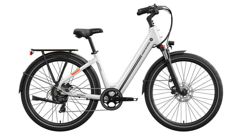 Asphalt ST Ebike