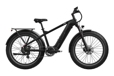 Basalt 2.0 Ebike
