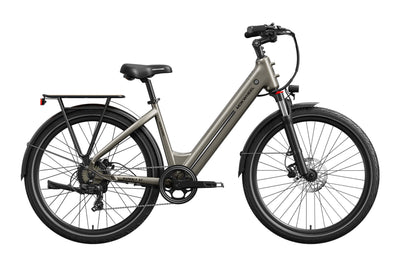 Asphalt ST Ebike