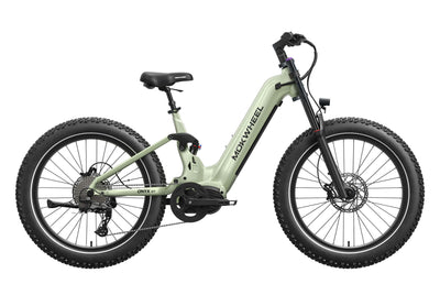 Onyx ST Ebike