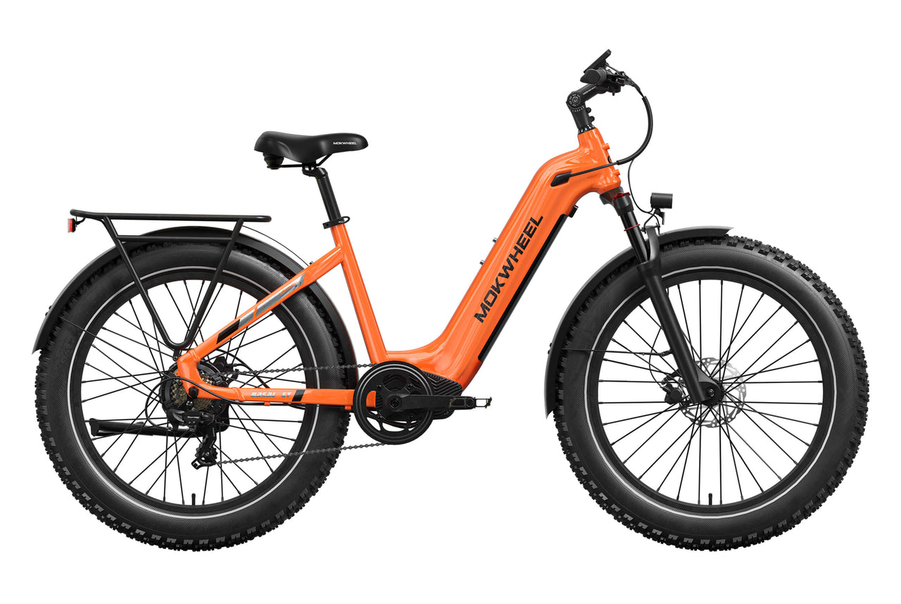 Basalt ST Ebike