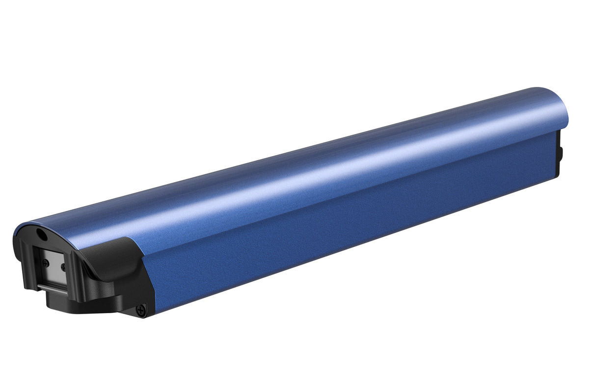 Battery(FLINT)