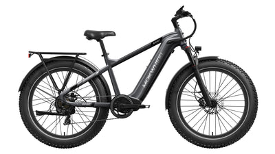 Basalt Ebike