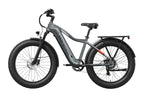Tor Plus Ebike