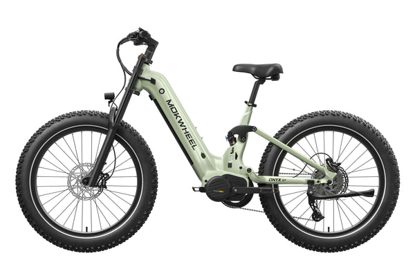 Onyx ST Ebike