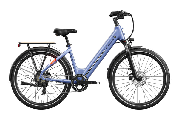 Asphalt ST EbikeStandard / Lapis