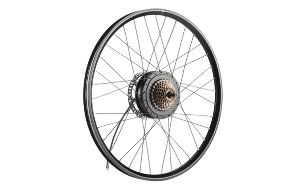 Mokwheel - best electric bike for adults
