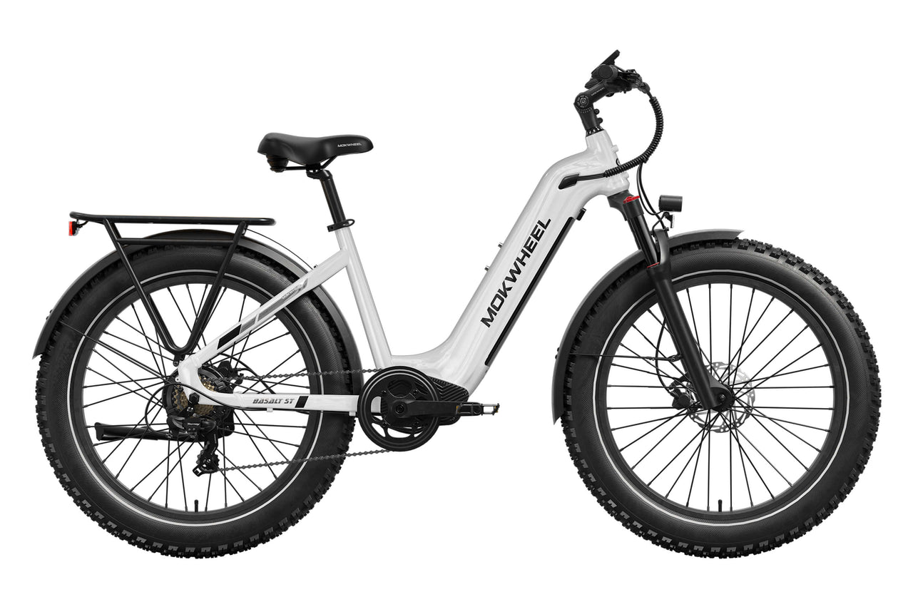 Basalt ST Ebike