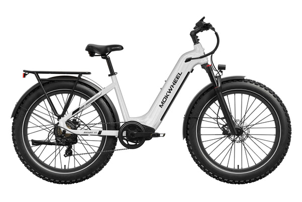 Basalt ST EbikeWhite