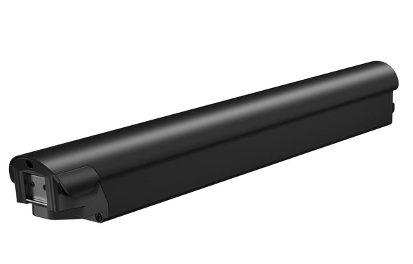 Battery(FLINT)