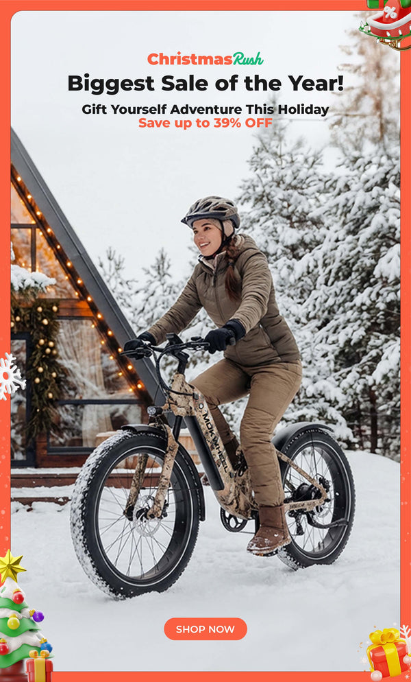 Mokwheel Ebikes