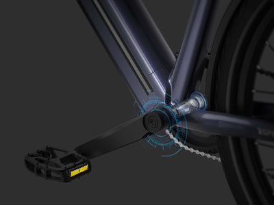 Mokwheel Torque Sensors – Adaptive Pedal Assist for Powerful, Smooth Beach Cruising
