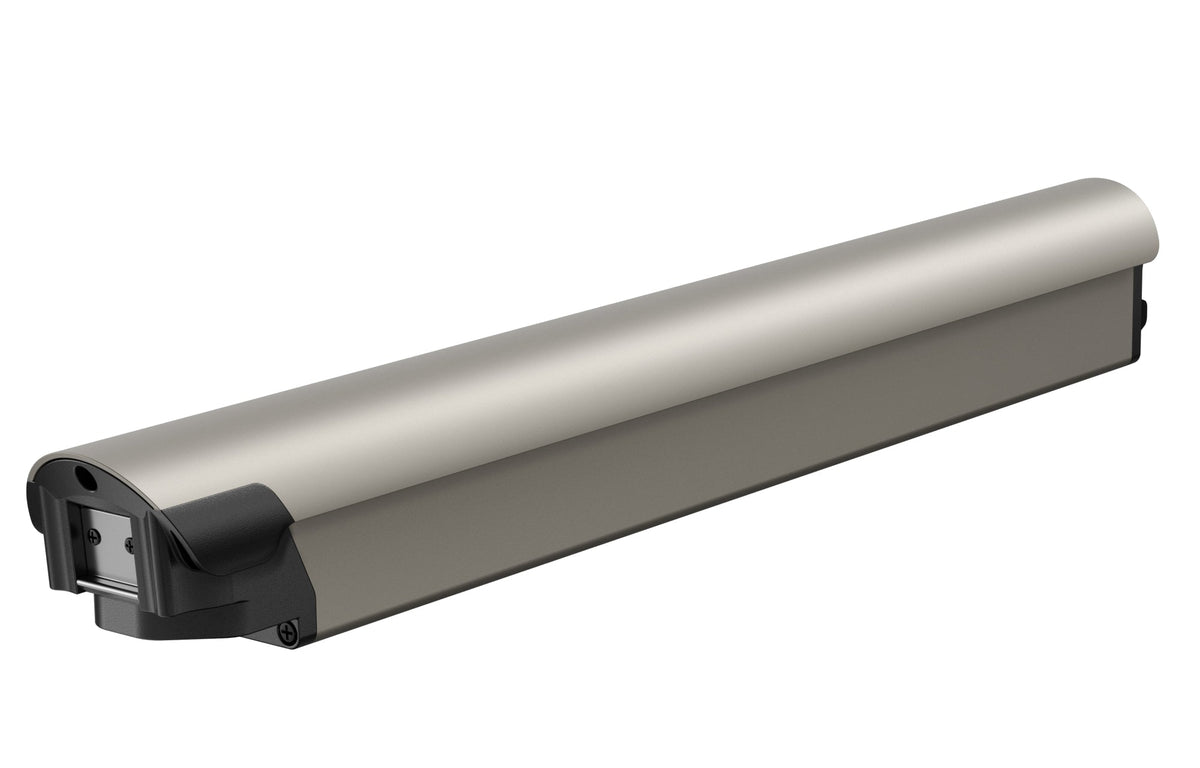 Battery(FLINT)