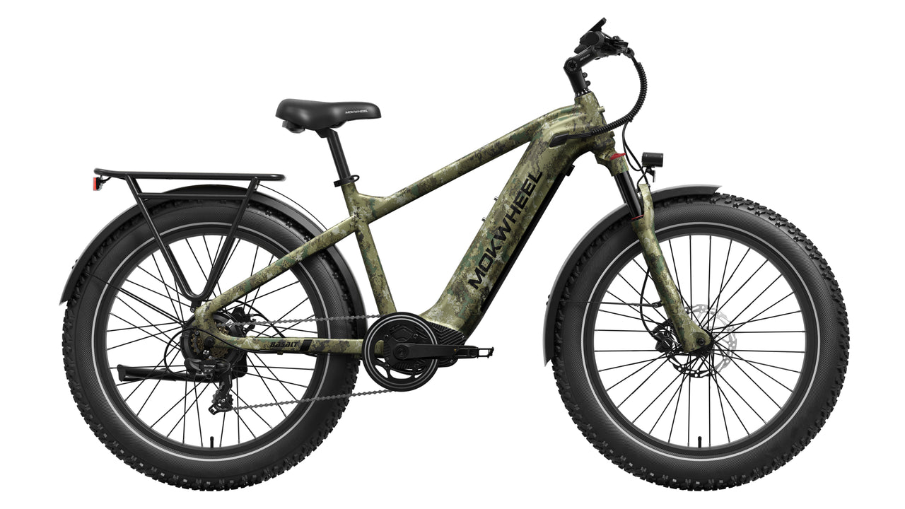 Basalt Ebike