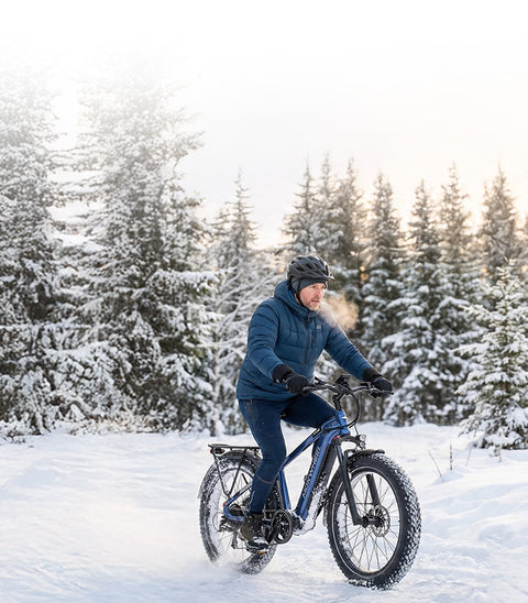 <p><strong>Dual E-Bikes ,Double The Fun</strong></p>