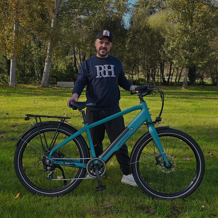 27 inch electric bike