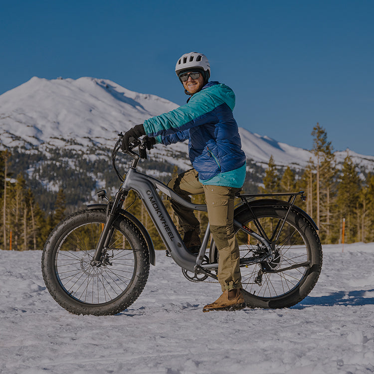 Mokwheel Ebikes